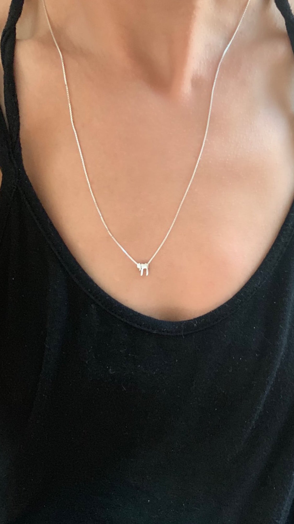 Silver Hai Necklace חי